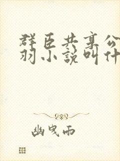 群臣共享公主银羽小说叫什么