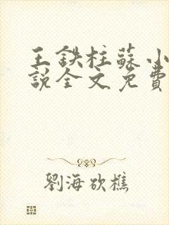 王铁柱苏小汐小说全文免费阅读最新章节