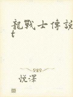 龙战士传说txt