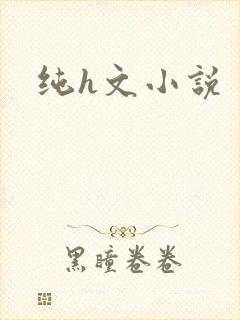 纯h文小说