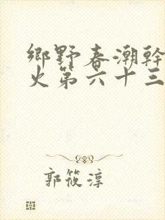 乡野春潮干柴烈火第六十三章