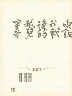 穿越后我吃到了哥儿的软饭炉山灰