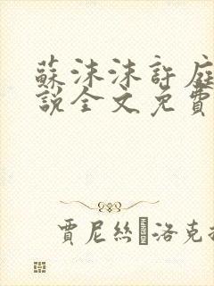 苏沫沫许庭川小说全文免费阅读