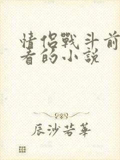 情侣战斗前适合看的小说