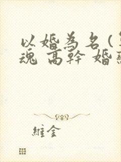 以婚为名 (军魂 高干 婚恋)