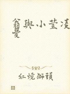 翁与小莹凌晨欢爱