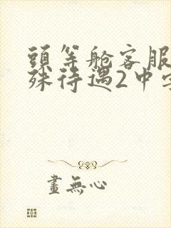 头等舱客服的特殊待遇2中字