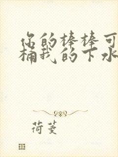 你的棒棒可以桶桶我的下水道吗