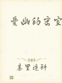 爱幽的密室小说