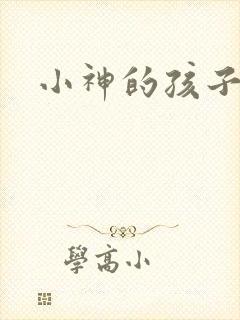 小神的孩子们封面