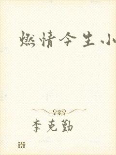 燃情今生小说