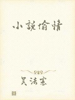 小说偷情封面