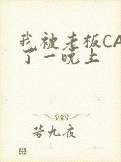 我被老板CAO了一晚上