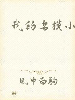 我的名模小娇妻