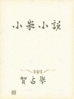 小米小说