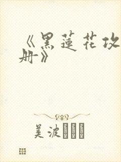 《黑莲花攻略手册》