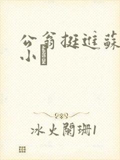 公翁挺进苏玥的小泬
