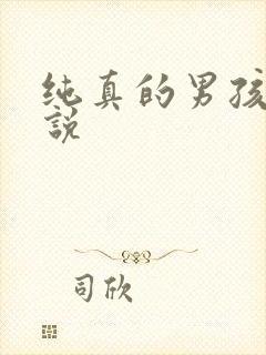 纯真的男孩子小说