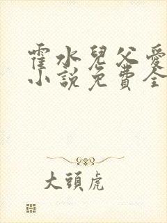 霍水儿父爱霍泽小说免费全文阅读续集封面