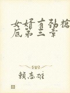 女婿有劲枪枪到底第三章