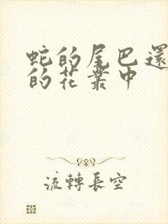 蛇的尾巴还在我的花丛中