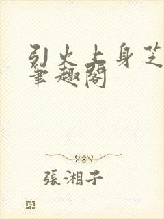 引火上身芝麻糖笔趣阁