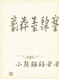 宋先生的宠妻计划轩家沐言