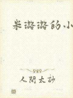 米璐璐的小说