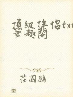 顶级伴侣txt笔趣阁