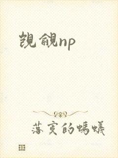觊觎np
