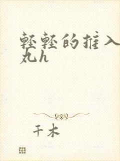 轻轻的推入合欢丸h