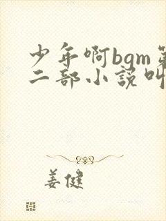 少年啊bgm第二部小说叫什么