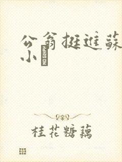 公翁挺进苏玥的小泬