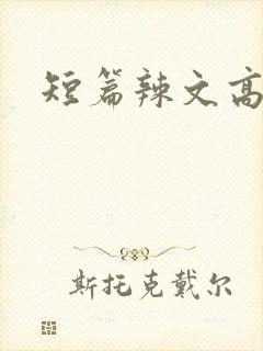 短篇辣文高h