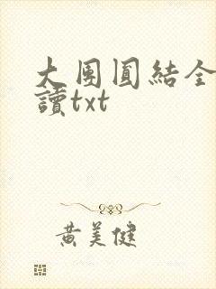 大团圆结全文阅读txt