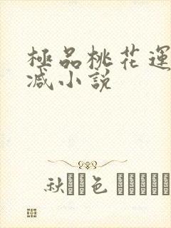 极品桃花运未删减小说