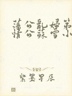 荡公乱妇第1章情公苏雪小说