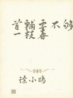 首辅要不够po一枝春