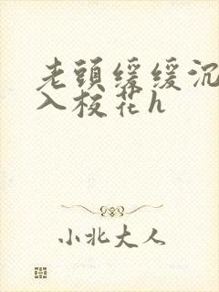 老头缓缓沉腰进入校花h