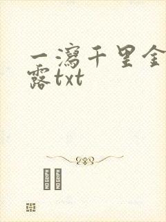 一泻千里金银花露txt