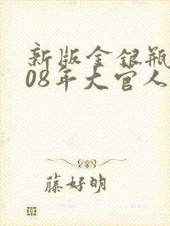 新版金银瓶2008年大官人