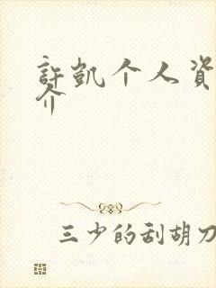 许凯个人资料简介