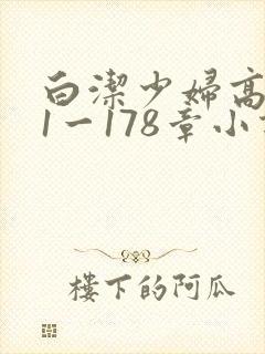 白洁少妇高义第1一178章小说