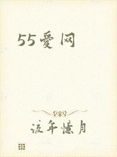 55爱网
