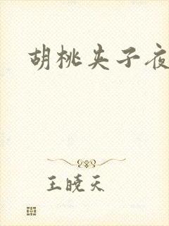 胡桃夹子夜未眠