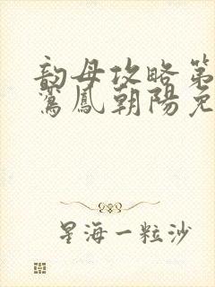 韵母攻略第二部鸾凤朝阳免费阅读