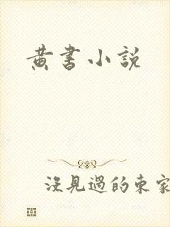 黄书小说