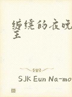 缠绕的夜晚双男主