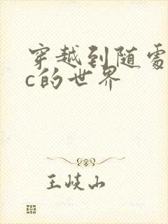 穿越到随处可以c的世界