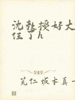 沈教授好大含不住了h